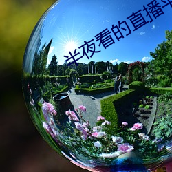 半夜(yè)看的直播平台