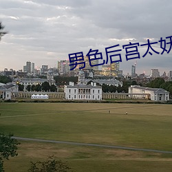 男色后宫(宮)太妖(妖)娆