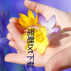 宠(寵)魅txt下载