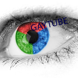 GAYTUBE