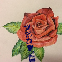 金年会(中国)官方网站