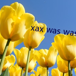 xax was was 软件v3.9.19 （走边）