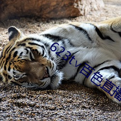 623t∨百色直播下載