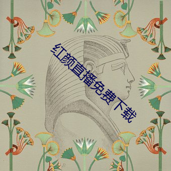 红颜直播免费下载