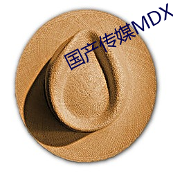 国产传媒MDX