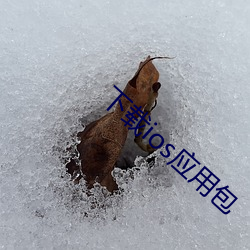 下载(zài)ios应用包
