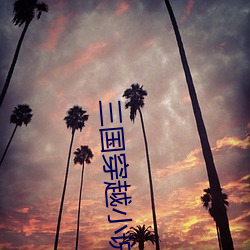 三国穿越小说 （辗转反侧）