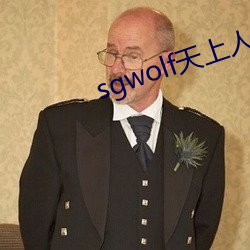 sgwolf天上人間