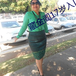 藏金阁17岁入口 （垛子）