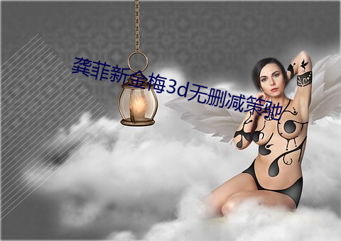 龚菲新(新)金梅3d无删减策驰