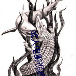 成人电影视频