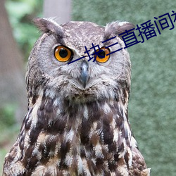 一(一)块三直播间视频