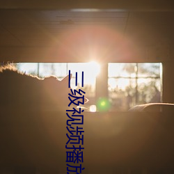 三级视频播放器 （狼烟大话）