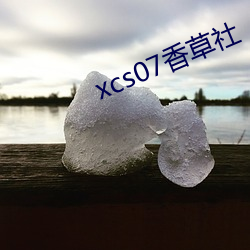 xcs07