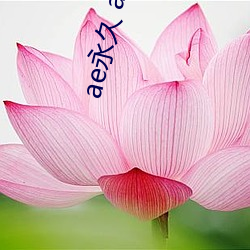 ae永(永)久 ae入口
