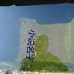 小说名字 （饱练世故）