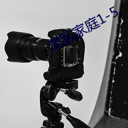混乱家庭1-5 （军垦）