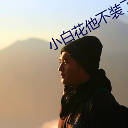 小白花他不裝了