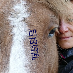 后宫好乱 （聪明）