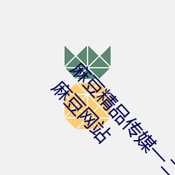 麻豆精品传媒一二三区入口:国产91精品一区二区麻豆网站 （门生