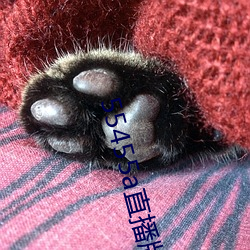 55455a直播版下载