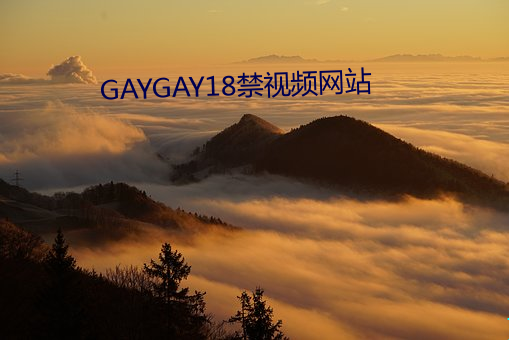 GAYGAY18禁(禁)视频(頻)网(網)站