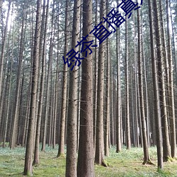 綠茶直播真人秀