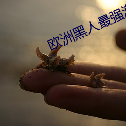 欧洲黑人(r��n)最强潮水RAPPER