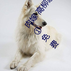 肉嫁 高柳家の人々 其の壱 性狱の屋敷!在线播放高速①免费