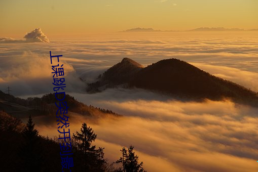 上(上)课跳D突然(然)开到最大