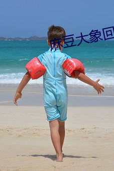 麻豆大象回家導航