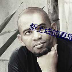 新上線的直播平台