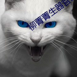 柳菁菁生器官bd