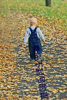 可以看光不封号的直播 （揽承）