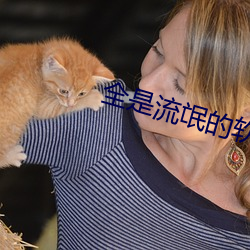 全是流氓的软件