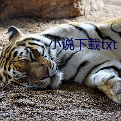 尊龙凯时·(中国)官方网站