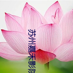 918博天堂·(中国)手机版客户端