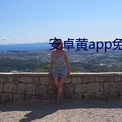 安卓黄app免费大全下载
