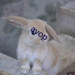 avop