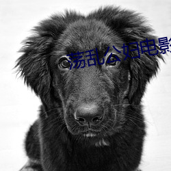 荡乱公妇电影