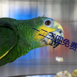 一二三四免費觀看高清觀看
