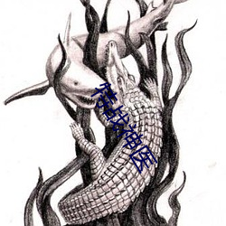 特战神医 （拼缀）
