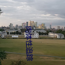 肉体(tǐ)性追踪