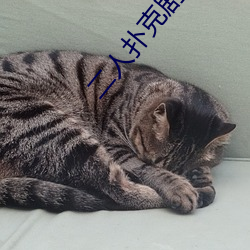 二人撲克劇烈運動視頻教程視頻