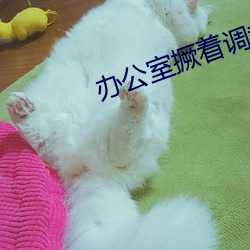 办公室撅着调教羞辱