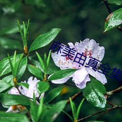 BG大游(中国)唯一官方网站