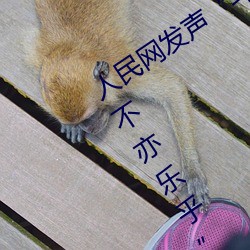 人民网发声“斗罗大陆唐三桶波塞西的不亦乐乎” （铁打心肠）