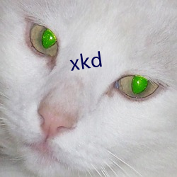 xkd