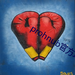 prohnub官方地址 （宏愿