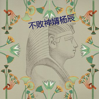 不败神婿杨辰 （手到拈来）